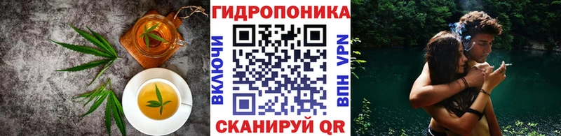 Canna-Cookies марихуана  как найти наркотики  Череповец 