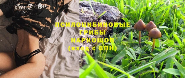 ПСИЛОЦИБИНОВЫЕ ГРИБЫ Абинск