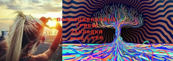 ПСИЛОЦИБИНОВЫЕ ГРИБЫ Абинск