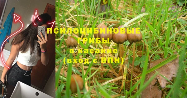 эйфоретик Михайловка