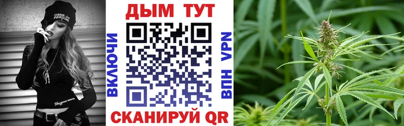 дарнет шоп  Череповец  Бошки марихуана гибрид 